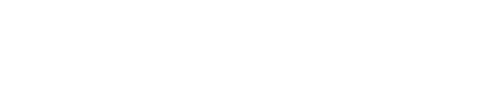 Storz Insurance Services, Inc.